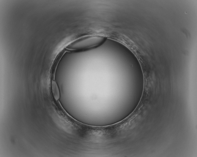 X0000112400344200908141344
