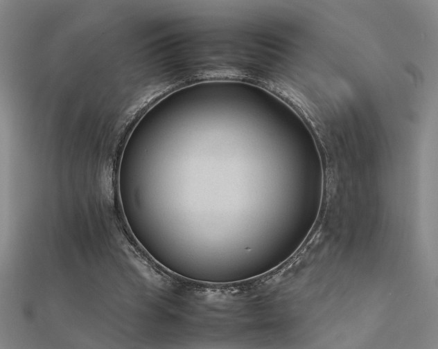X0000112400345200908141344