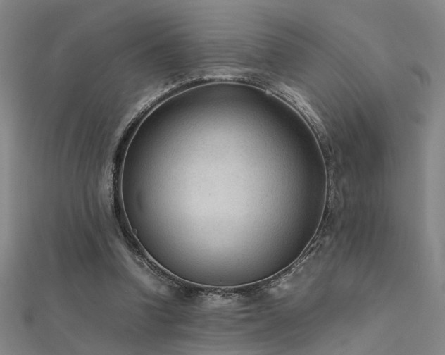 X0000112400346200908141344