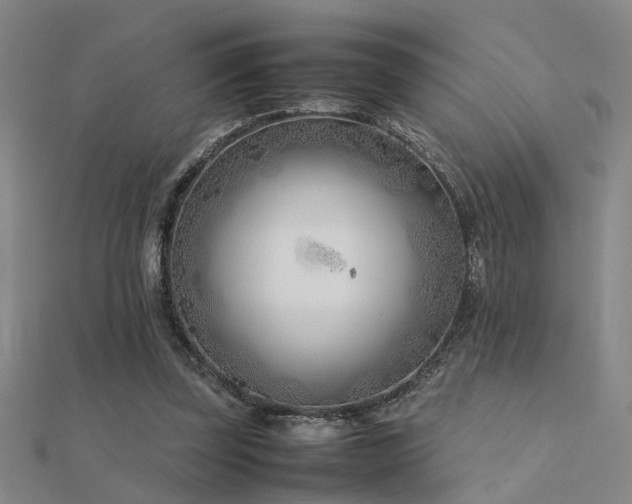 X0000112400347200908141344