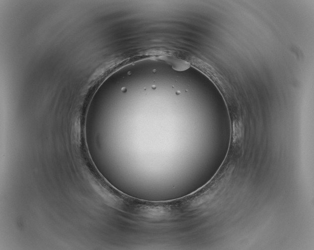 X0000112400349200908141344