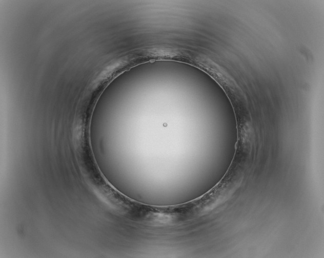 X0000112400352200908141344