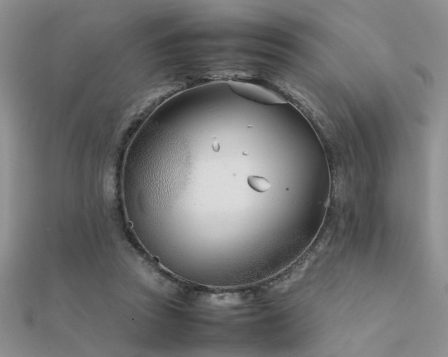 X0000112400353200908141344