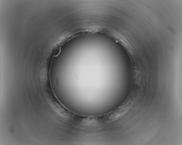 X0000112400354200908141344