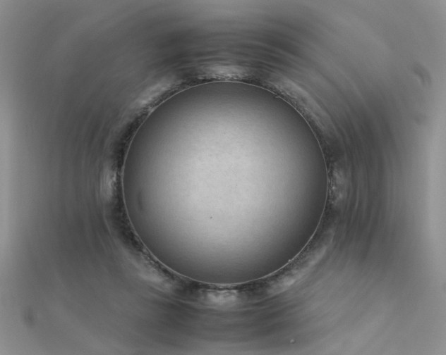 X0000112400355200908141344