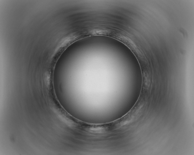 X0000112400357200908141344