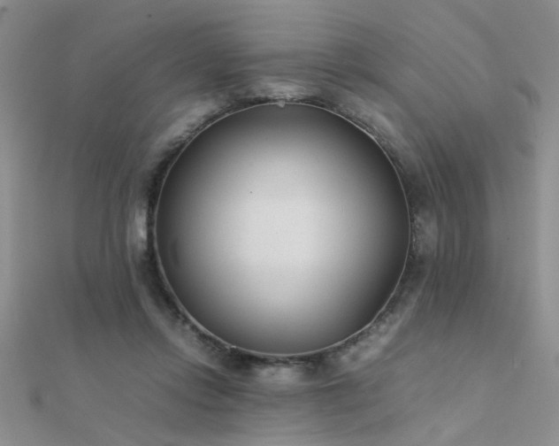 X0000112400358200908141344
