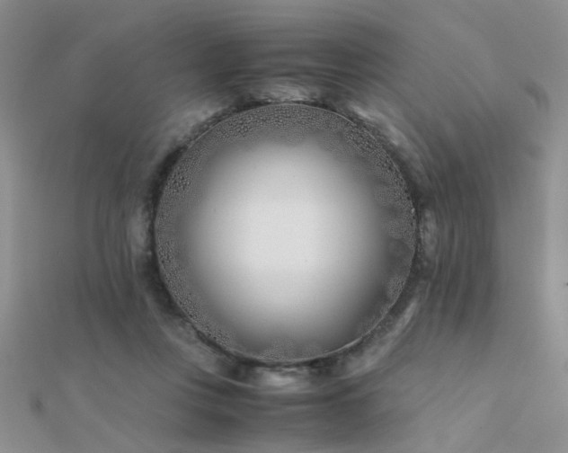 X0000112400359200908141344