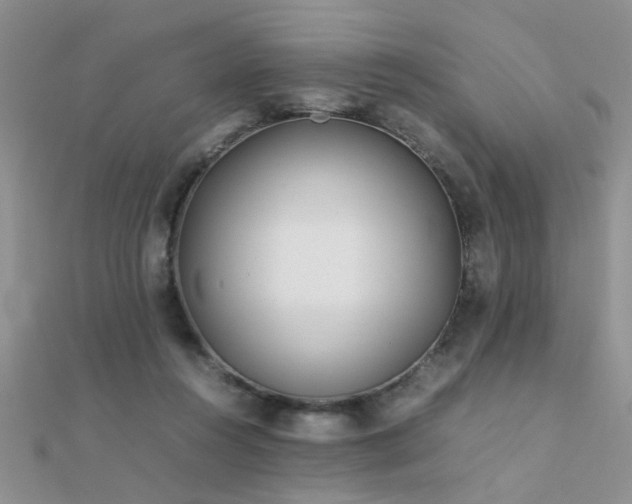 X0000112400360200908141344