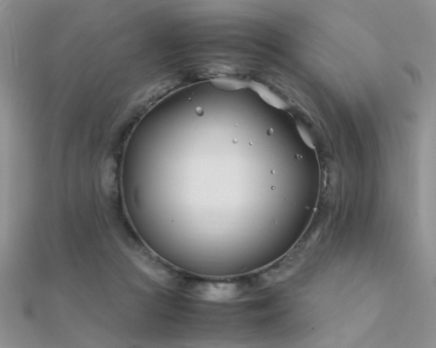 X0000112400361200908141344