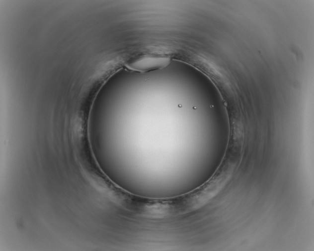 X0000112400362200908141344