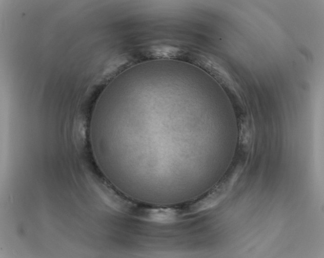 X0000112400363200908141344