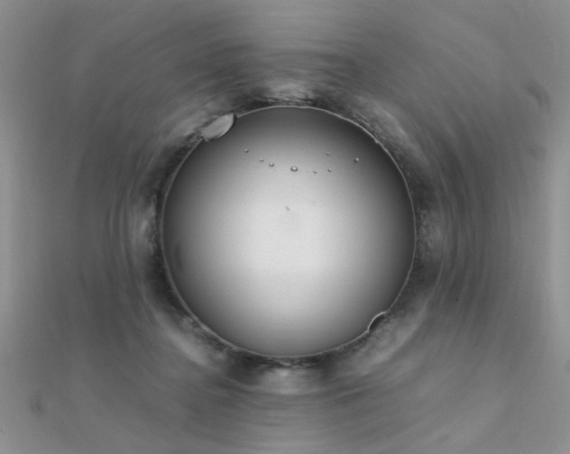 X0000112400364200908141344