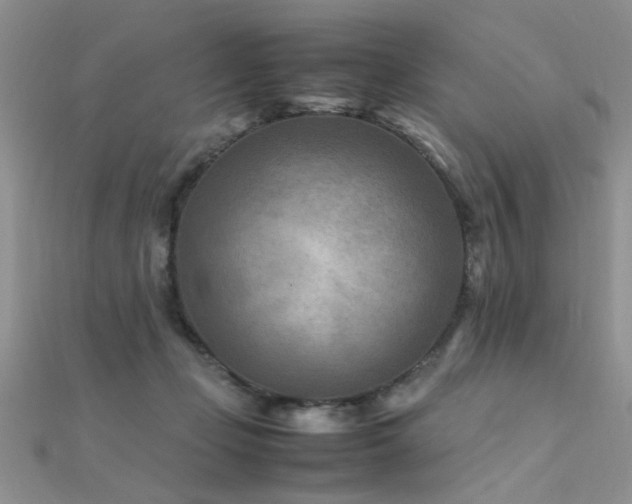 X0000112400365200908141344