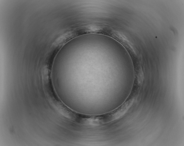 X0000112400366200908141344