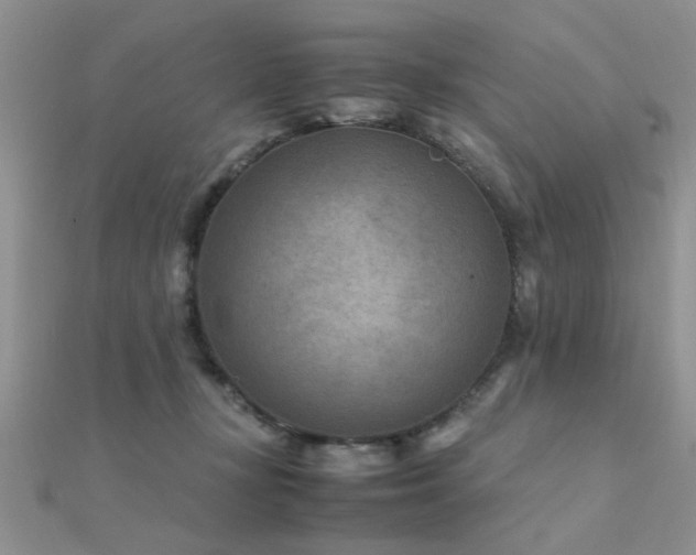 X0000112400367200908141344