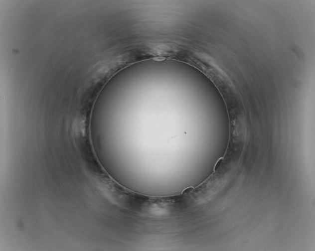 X0000112400368200908141344