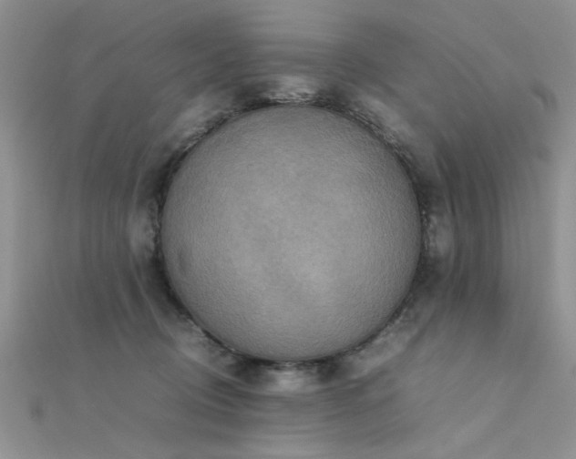 X0000112400370200908141344