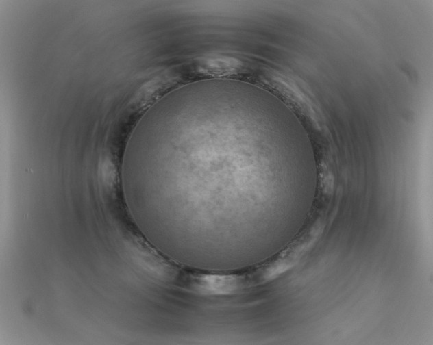 X0000112400371200908141344