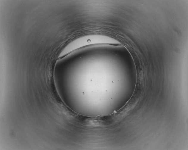X0000112400372200908141344