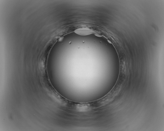 X0000112400373200908141344