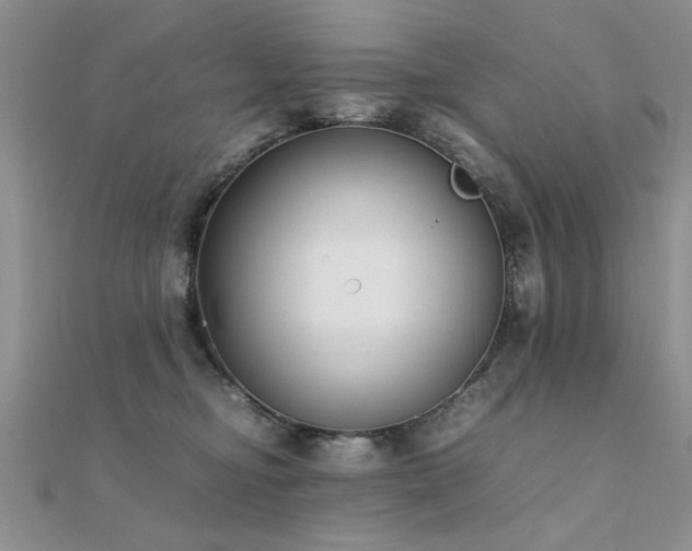 X0000112400374200908141344
