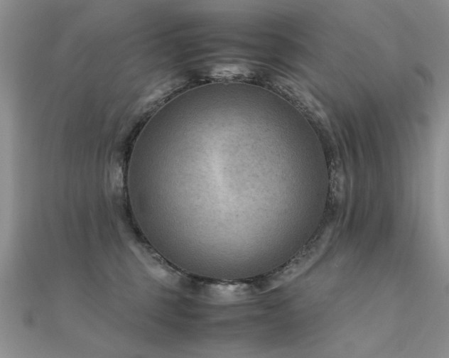 X0000112400375200908141344