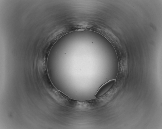 X0000112400376200908141344
