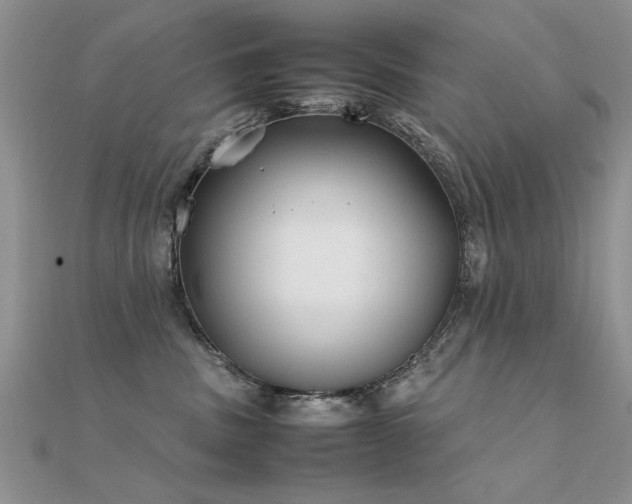 X0000112400379200908141344