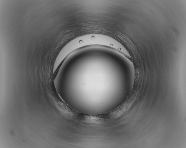 X0000112400380200908141344