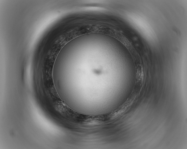 X0000112400381200908141344