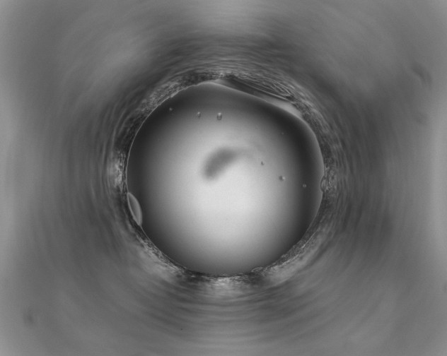 X0000112400382200908141344