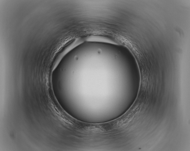 X0000112400386200908141344