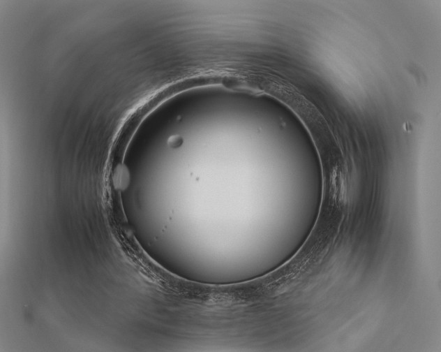 X0000112400388200908141344