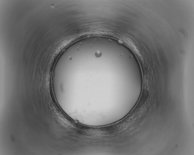 X0000112400389200908141344