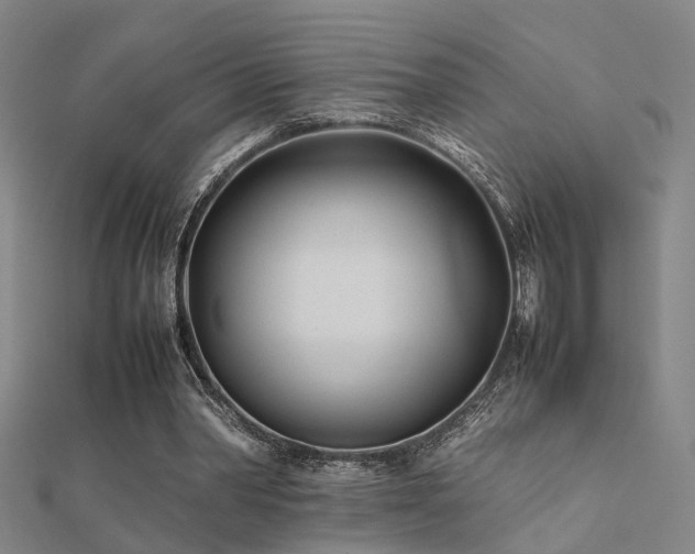 X0000112400390200908141344