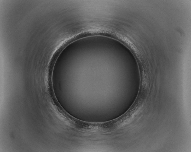 X0000112400391200908141344