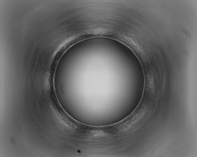 X0000112400392200908141344