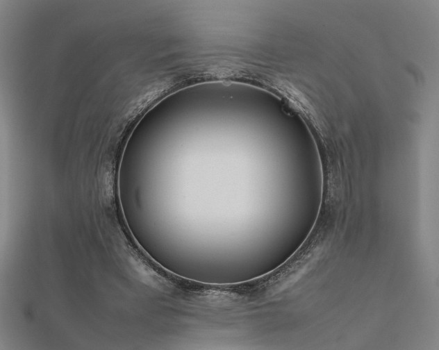 X0000112400393200908141344