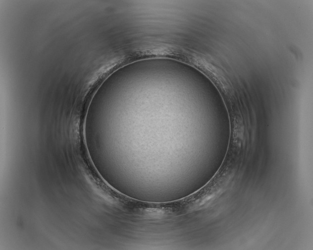 X0000112400394200908141344