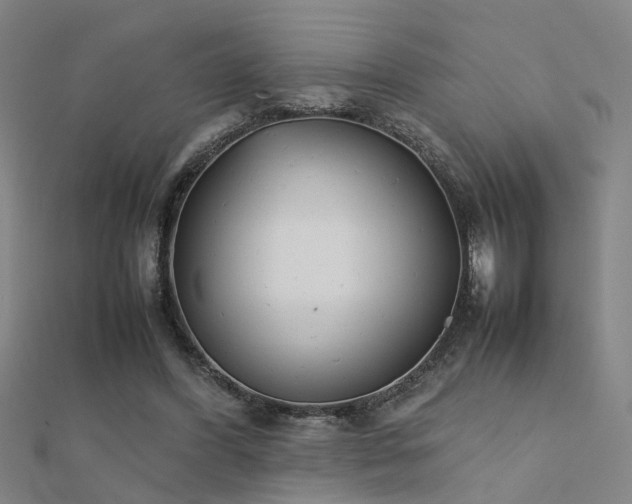 X0000112400396200908141344