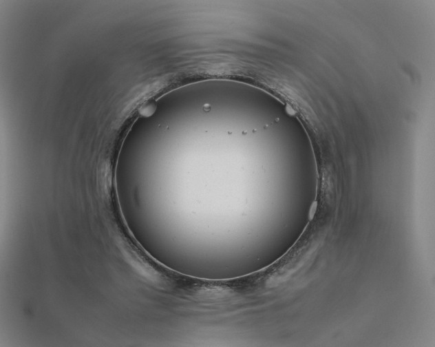 X0000112400397200908141344