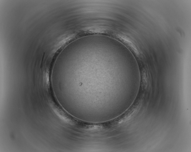X0000112400398200908141344