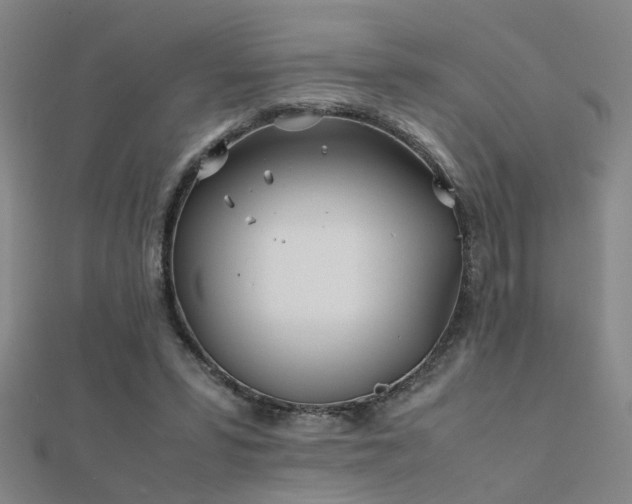 X0000112400399200908141344