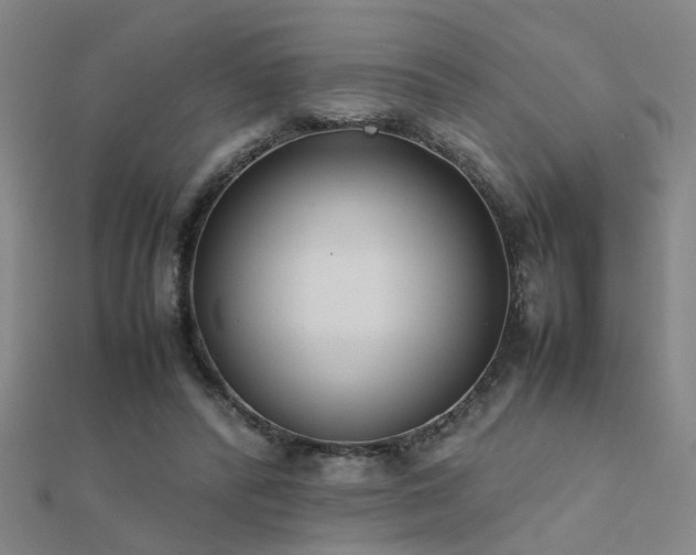 X0000112400400200908141344