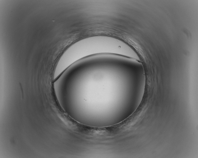 X0000112400401200908141344