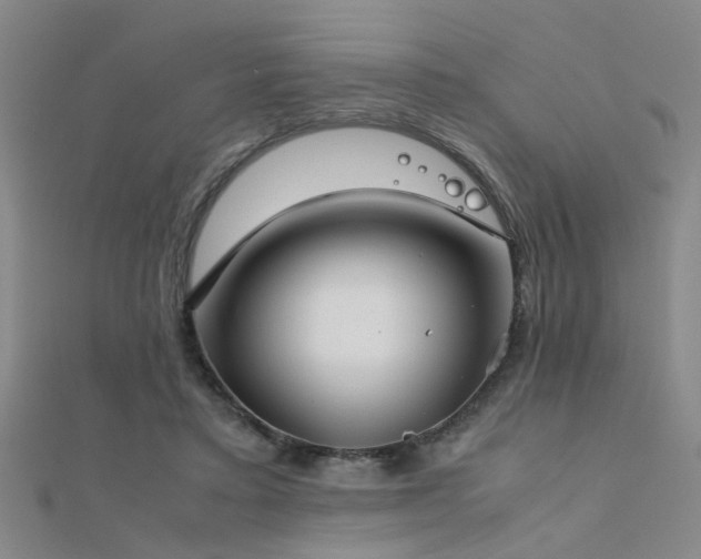 X0000112400403200908141343