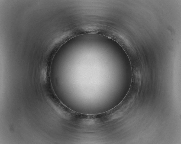 X0000112400404200908141343