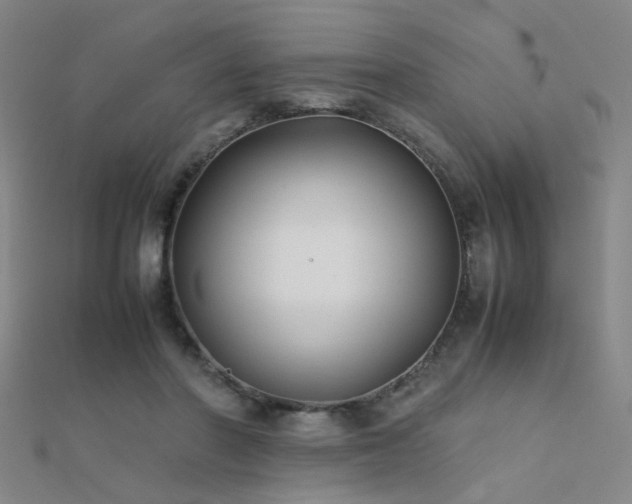 X0000112400406200908141343