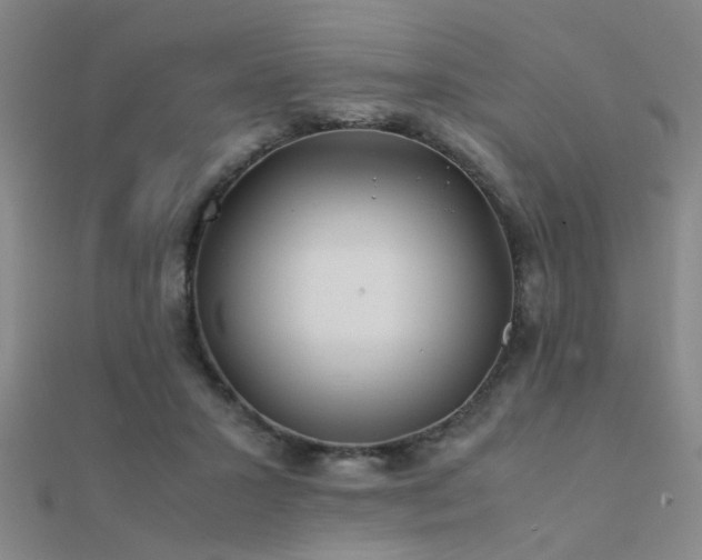 X0000112400407200908141343